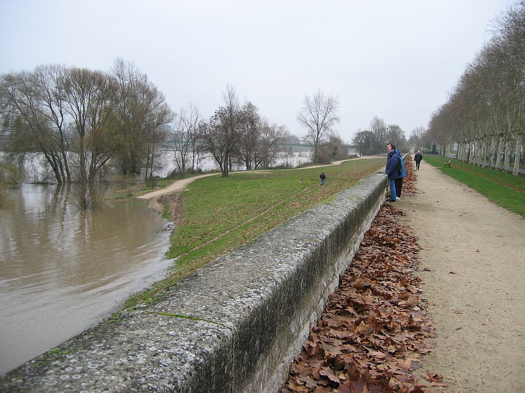 Loire en crue 06.jpg